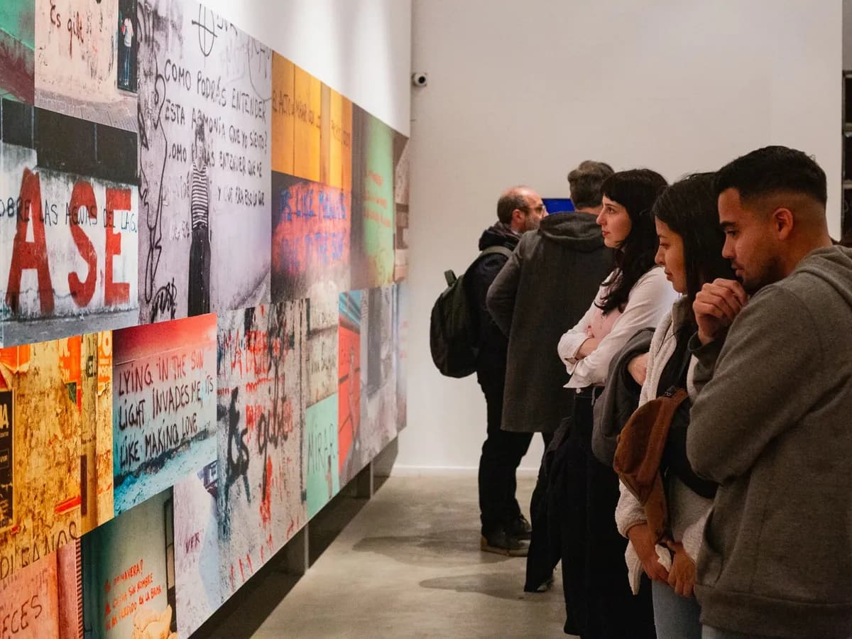 La obra de Narcisa Hirsch en el Museo de Arte Contemporáneo de Rosario