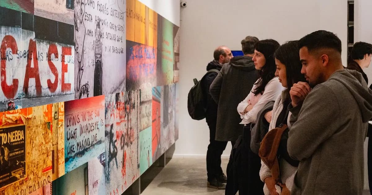 La obra de Narcisa Hirsch llega al Museo de Arte Contemporáneo de Rosario